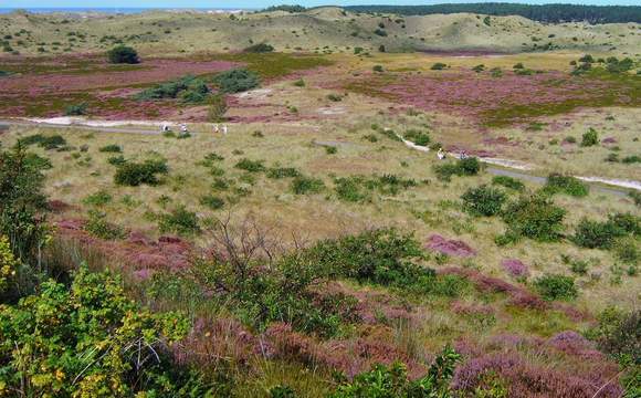 ...Wir haben uns in Schoorl Fahrräder gemietet,
mit denen man vom B&B sehr schnell am
Dünencenter (ca. 5 Minuten)
in Schoorl (ca. 6 Minuten)
oder an der See (ca. 15 Minuten) ist.... ...Wir haben uns in Schoorl Fahrräder gemietet,
mit denen man vom B&B sehr schnell am
Dünencenter (ca. 5 Minuten)
in Schoorl (ca. 6 Minuten)
oder an der See (ca. 15 Minuten) ist....