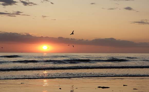 20190730_212759 20190730_212759