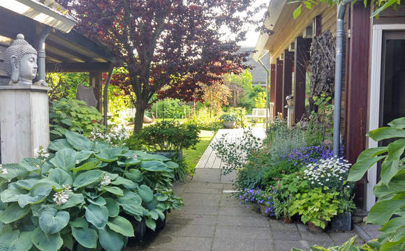 tuin-gezamenlijk2-oude-atelier tuin-gezamenlijk2-oude-atelier